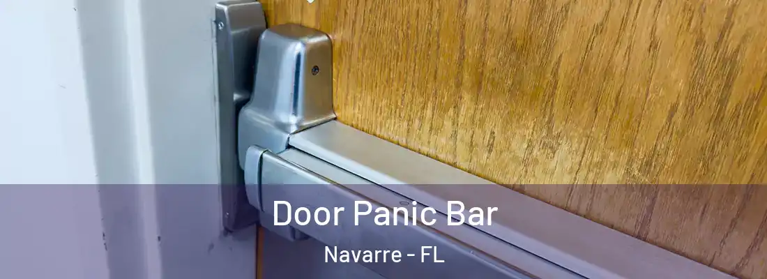  Door Panic Bar Navarre - FL