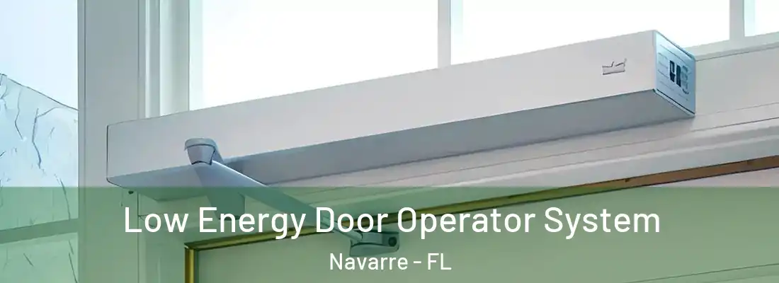  Low Energy Door Operator System Navarre - FL